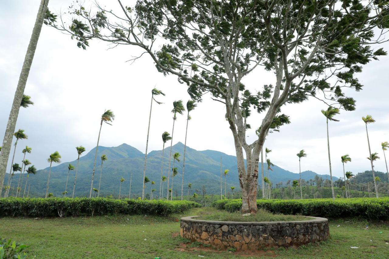 Aldora Holiday Homes Vythiri Ngoại thất bức ảnh